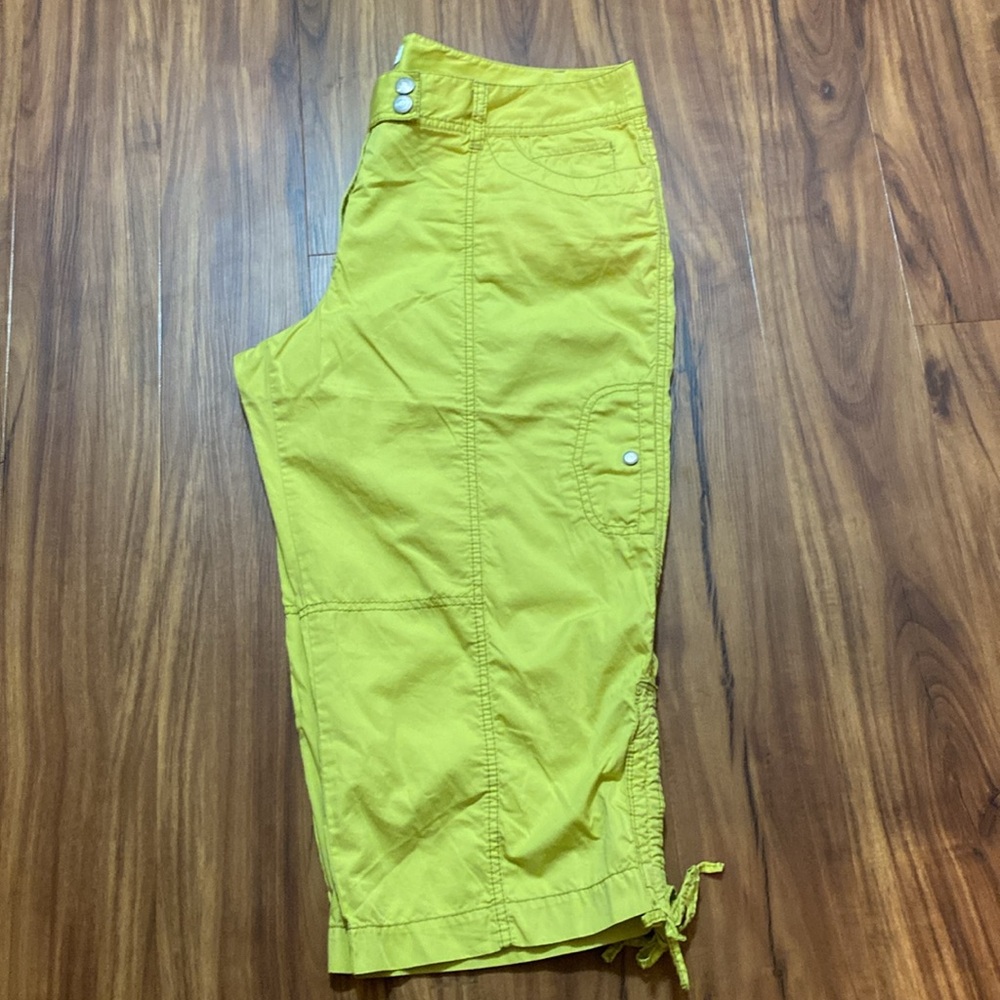 Ann Taylor Loft Capri Pants